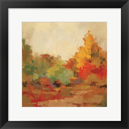 Framed Fall Forest II Print