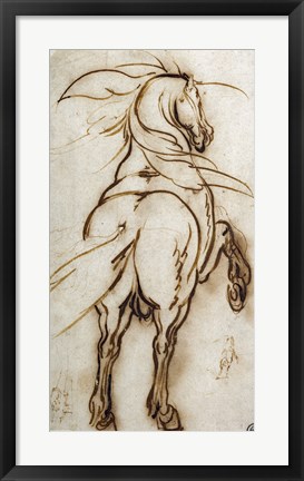 Framed Study of a Rearing Horse Print