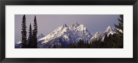 Framed Cathedral Group Mountains, Grand Teton National Park, Wyoming Print