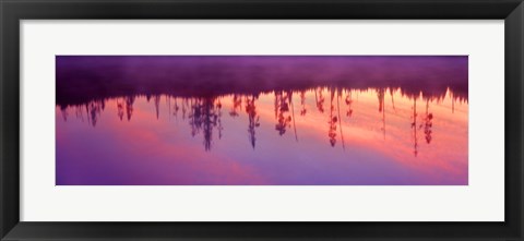 Framed Reflection of plants in a lake at sunrise, Taggart Lake, Grand Teton National Park, Wyoming, USA Print