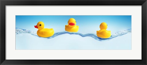 Framed Three ducks on water Print