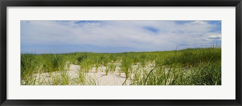 Framed Sand dunes at Crane Beach, Ipswich, Essex County, Massachusetts, USA Print