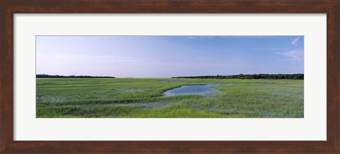 Framed USA, Florida, Jacksonville, Atlantic Coast, Salt Marshes Print