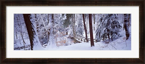Framed Winter footbridge Cleveland Metro Parks, Cleveland OH USA Print