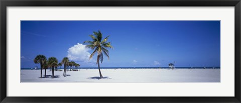 Framed Palm Trees in Miami Print