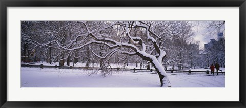 Framed Trees covered with snow in a park, Central Park, New York City, New York state, USA Print