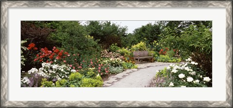 Framed Bench in a garden, Olbrich Botanical Gardens, Madison, Wisconsin, USA Print