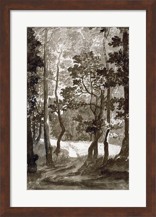 Framed Path Leading into a Forest Clearing Print