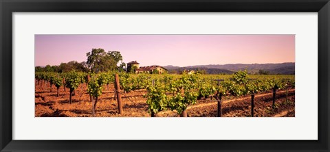 Framed Sattui Winery, Napa Valley, California, USA Print
