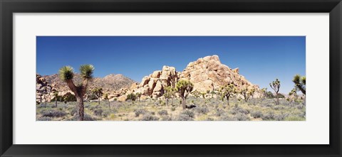 Framed Rock Formation In A Arid Landscape, Joshua Tree National Monument, California, USA Print