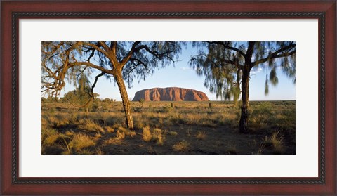 Framed Ayers Rock Australia Print