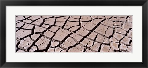 Framed Close-up of cracked mud, South Dakota, USA Print