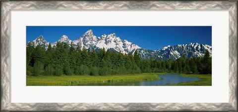 Framed Trees along a river, Near Schwabachers Landing, Grand Teton National Park, Wyoming Print