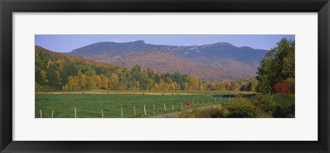 Framed Woman cycling on a road, Stowe, Vermont, USA Print