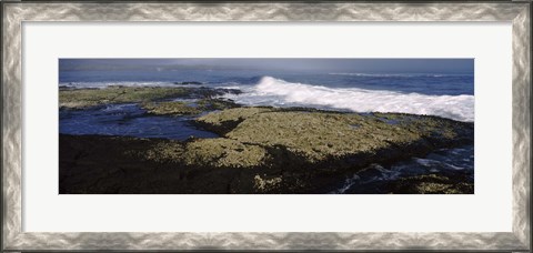 Framed Rock formations at the coast, Fernandina Island, Galapagos Islands, Ecuador Print