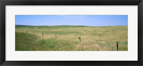 Framed Grass on a field, Cherry County, Nebraska, USA Print