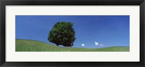 Framed View Of A Lone Tree On A Hillside In Summer Print
