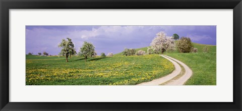 Framed Meadow Of Dandelions, Zug, Switzerland Print