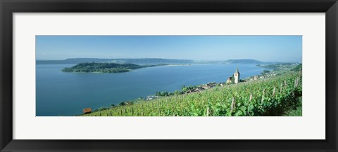 Framed Vineyard near a village, Lake Biel, Ligerz, Canton of Bern, Switzerland Print