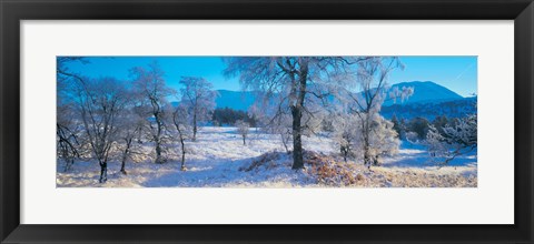 Framed Trossachs National Park, Scotland, United Kingdom Print