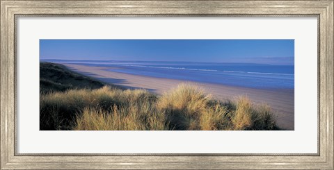 Framed Tall grass on the coastline, Saunton, North Devon, England Print