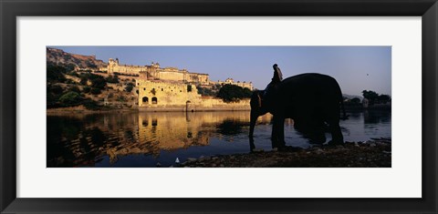 Framed Side profile of a man sitting on an elephant, Amber Fort, Jaipur, Rajasthan, India Print