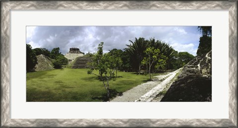 Framed Old ruins of a temple in a forest, Xunantunich, Belize Print