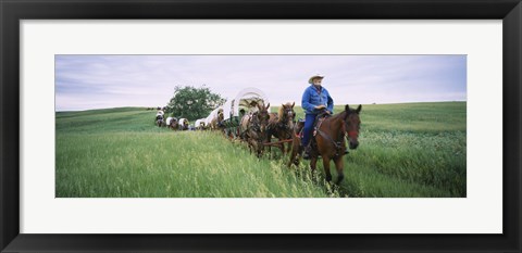 Framed Historical reenactment of covered wagons in a field, North Dakota, USA Print