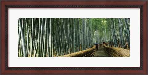 Framed Stepped walkway passing through a bamboo forest, Arashiyama, Kyoto Prefecture, Kinki Region, Honshu, Japan Print