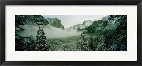 Framed Trees in a forest, Yosemite National Park, Mariposa County, California, USA Print