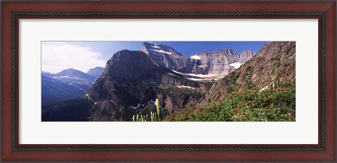 Framed Wildflowers with mountain range in the background, US Glacier National Park, Montana, USA Print