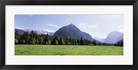 Framed Trees on a hill with mountain range in the background, Karwendel Mountains, Risstal Valley, Hinterriss, Tyrol, Austria Print