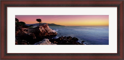 Framed Silhouette of Lone Cypress Tree at a coast, 17-Mile Drive, Carmel, Monterey County, California, USA Print