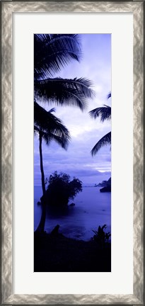Framed Palm trees on the coast, Colombia (purple and blue) Print