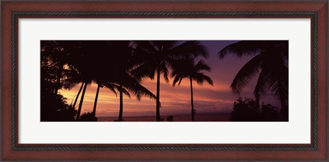 Framed Palm trees on the coast, Colombia (pink sky) Print