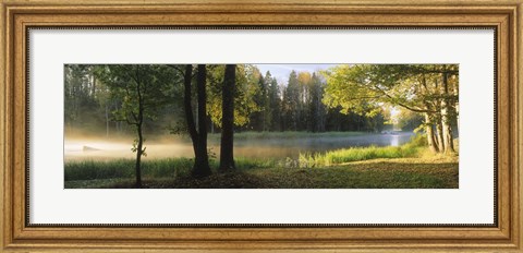 Framed Dal River, Sweden Print