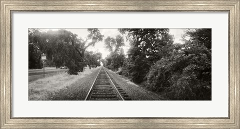 Framed Railroad track, Napa Valley, California, USA Print