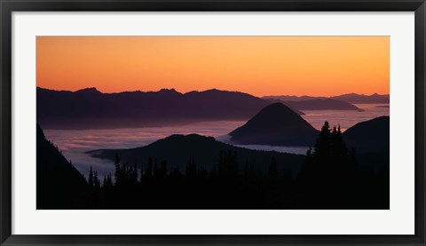 Framed Mount Rainier National Park, Washington Print