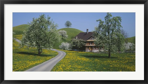 Framed road through Zug, Switzerland Print