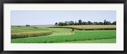 Framed Harvesting, Farm, Frederick County, Maryland, USA Print