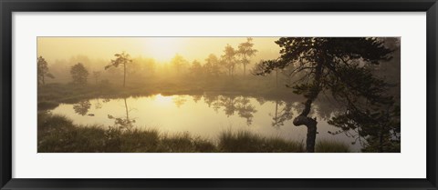 Framed Reflection of trees in a lake, Vastmanland, Sweden Print