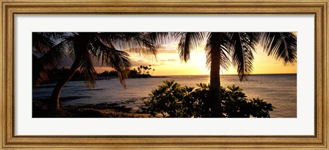 Framed Kohala Coast, Hawaii, USA Print