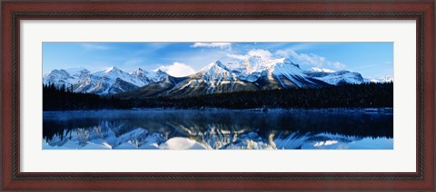 Framed Herbert Lake, Banff National Park, Alberta, Canada Print