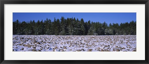 Framed Rocks in snow covered landscape, Hickory Run State Park, Pocono Mountains, Pennsylvania, USA Print