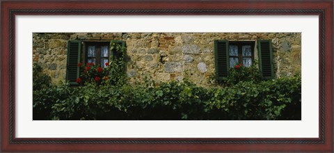 Framed Flowers on a window, Monteriggioni, Tuscany, Italy Print