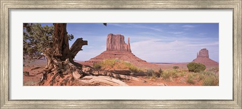 Framed Close-Up Of A Gnarled Tree With West And East Mitten, Monument Valley, Arizona, USA, Print