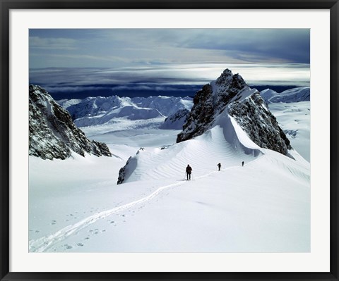 Framed Upper Fox Glacier Westland NP New Zealand Print