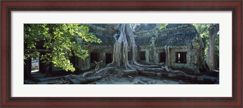 Framed Wat Temple Complex of Ta-Prohm Cambodia Print