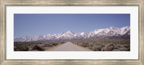 Framed USA, California, Sierra Nevada, Bushes on both sides of a road Print