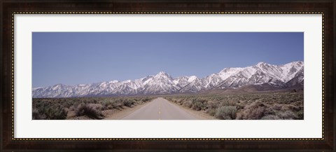 Framed USA, California, Sierra Nevada, Bushes on both sides of a road Print